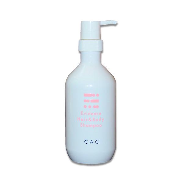 CAC GBfX wA[{fBVv[