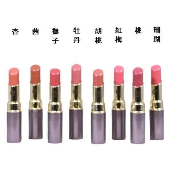 CAC 化粧品 エヴィデンス リップスティック 紅梅 こうばい セット CAC 化粧品 エヴィデンス リップスティック 紅梅 こうばい セット