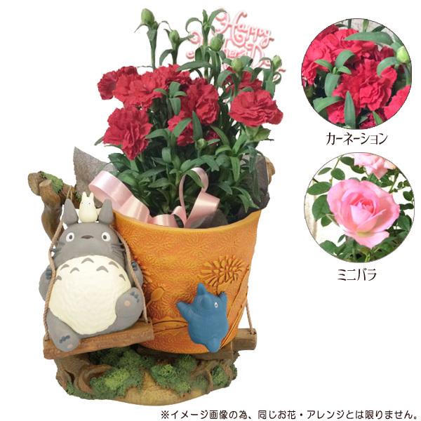 予約商品 ジブリ グッズ となりのトトロ わくわくぶらんこ 母の日生花 アレンジセット21 梱包送料込 買い合わせ不可 Cafe De Donguri Yahoo 店 通販 Yahoo ショッピング