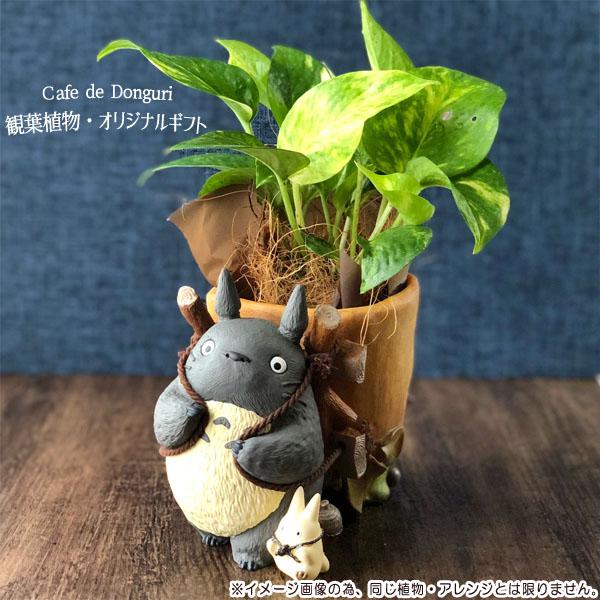 スタジオジブリ となりのトトロ トトロのお届けよいこらしょ