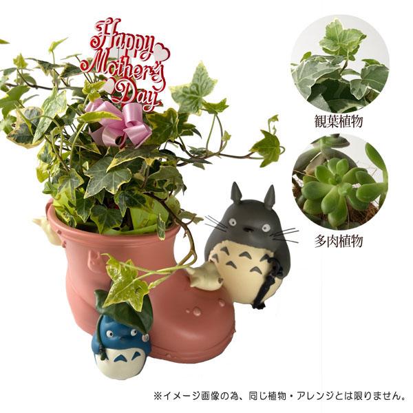スタジオジブリ 予約商品 となりのトトロ メイの長靴 母の日おまかせ