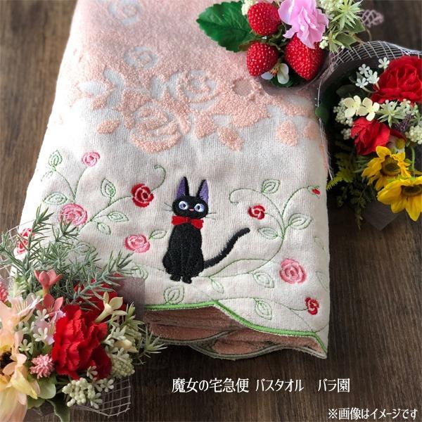 Wu ObY ̑}ց@oX^I@o×ԃ~ju[PZbg X^WIWu  Wu ObY  WW  Wu̓