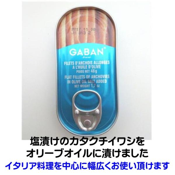 アンチョビ フィレ アンチョビ 48g 缶 ギャバン カタクチイワシ 塩漬け 熟成 オリーブオイル イタリア料理 ＧＡＢＡＮ カタクチイワシの塩漬け