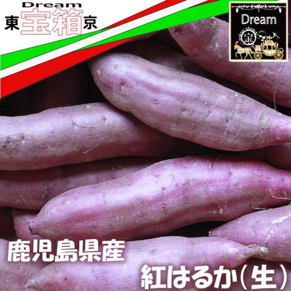鹿児島県産　2025年8月収穫　新芋、生鹿児島県産【紅はるか　Ｍサイズ　生】3kg さつま芋　からいもさつま芋の本場からお届けさせて頂きます。紅はるかは何と言っても焼き芋ではなかろうかと存じます。蜜の多さは勿論のことではございますが甘味の効...