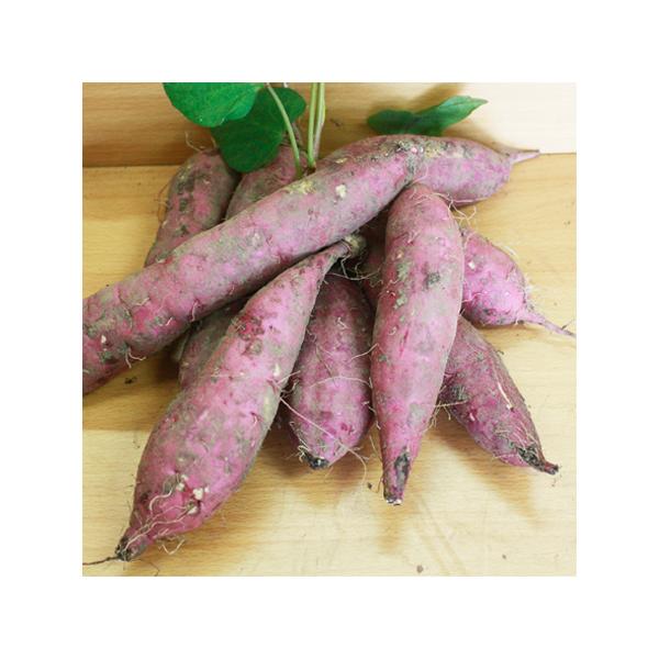 2025年8月収穫。鹿児島県産・紅はるか　3kg鹿児島県産・紅はるか、3kg焼き芋にするも好し、てんぷらも最高、お芋ご飯も中々美味しいし、干し芋作りに挑戦するも好し、用途が有り過ぎてお芋が足らなくなる程です。新芋ですので、届いたら段ボールか...