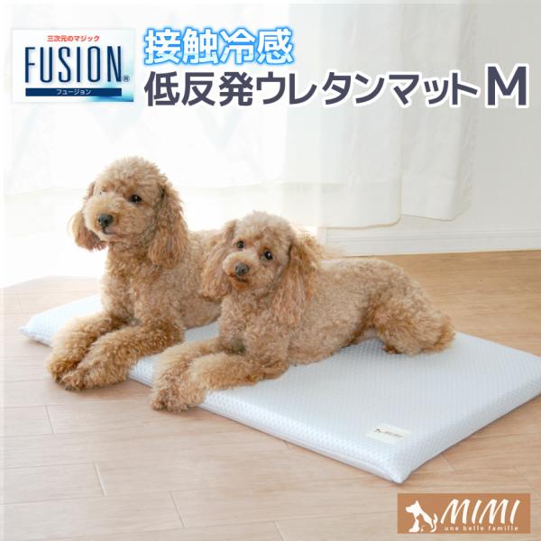 MIMI FUSION ᔽ}bg MTCY 45×68×3cm ڐG⊴ Ђ 􂦂 Jo[O f ⊴ N[ NbV  ΍ ybgpi 