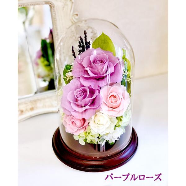 プリザーブドフラワー ガラスドーム 御祝い 胡蝶蘭 お供え 新築祝い 誕生日 Buyee Buyee 日本の通販商品 オークションの代理入札 代理購入