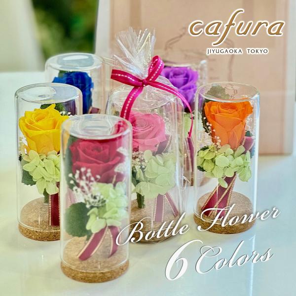 プリザーブドフラワー ミニガラスドーム Miniglass Cafura 通販 Yahoo ショッピング