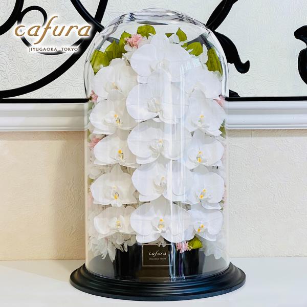 プリザーブドフラワー胡蝶蘭三本立ちプレミアムドームLL