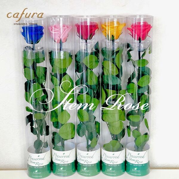 花、茎、葉すべてプリザーブドフラワー一輪のバラ素材：プリザーブドフラワーサイズ（目安）：約5cm（花径）×約40cm（長さ）＜ご用途＞結婚記念、ウェディング、両親贈呈ギフト、プチギフト、お祝い、記念日、誕生日プレゼント、結婚祝い、出産祝い、...