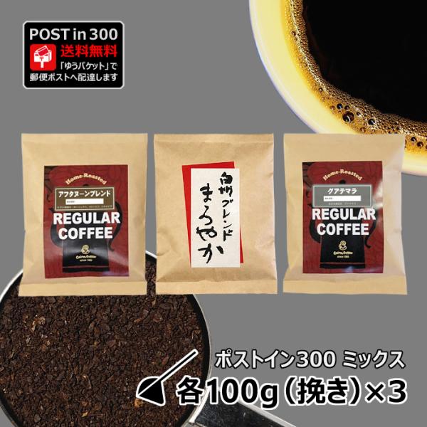R[q[ |XgC300 At^k[uh + Buhu܂₩v + OAe} e100gi҂ji03126-03276-03546j