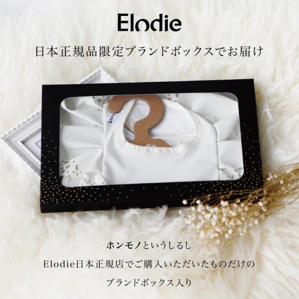 エロディディテールズ