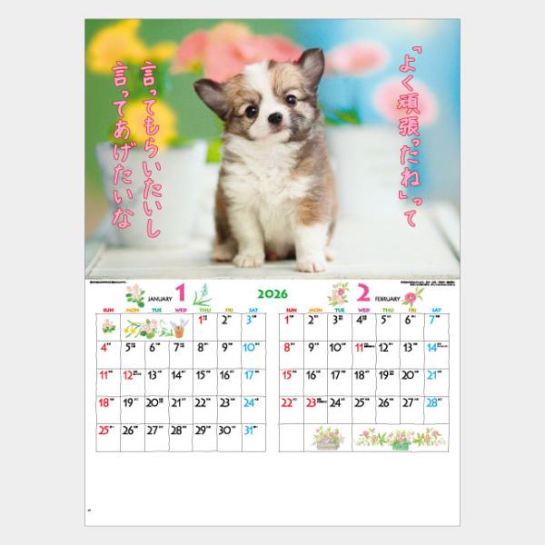 名入れカレンダー 2026 壁掛けIC-200H FOR YOU（フォー・ユー）100冊