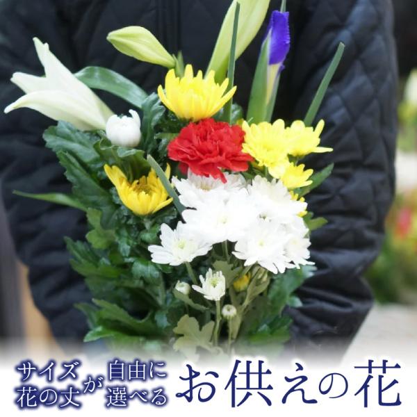 お供え 花束 生花 仏壇用 お墓参り仏花 2束セット : フラワー