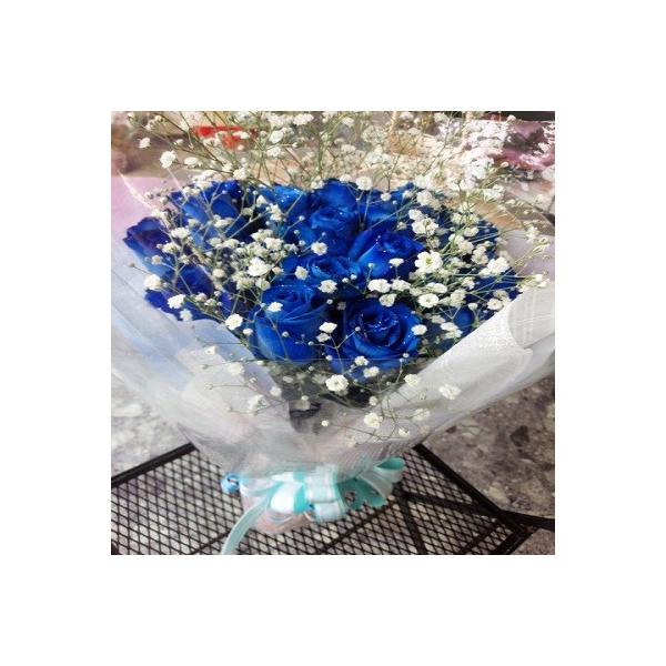 P{720~Iy10{ȏ`̂łzoiu[[YjƃJX~\Eƃ΂߂ăLLƂԑI