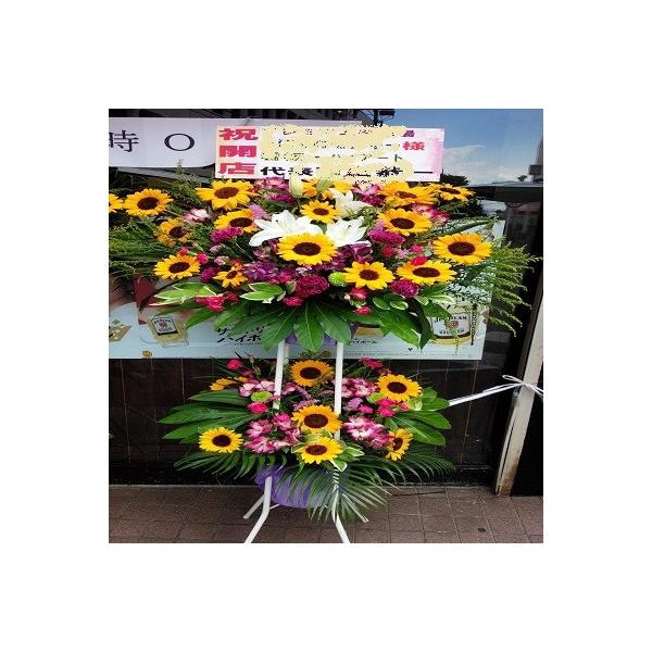 ẲԁAЂ܂ƃJTuJ̐ԃX^h2iIɐlĈ鑡蕨ł