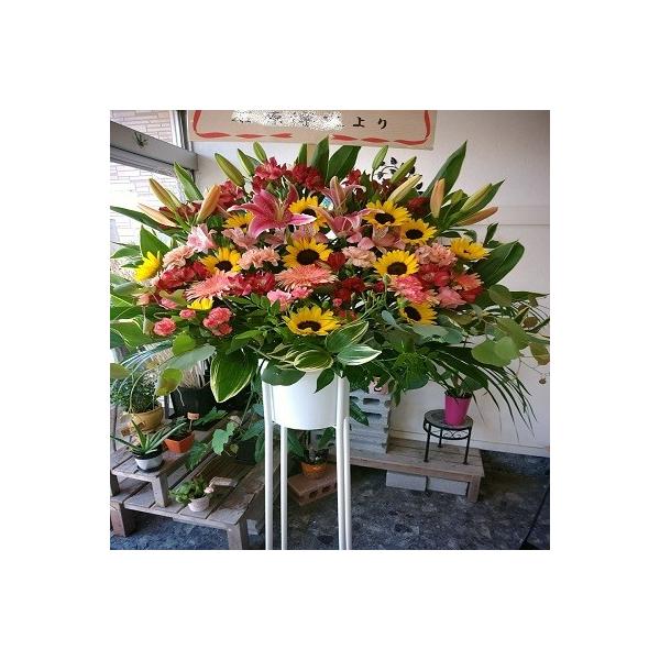 G߂̏{ȉԂ̃t[X^hIԐFEԎX^bt܂ԃX^hPi͂܂