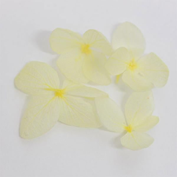 アジサイ アートの人気商品 通販 価格比較 価格 Com