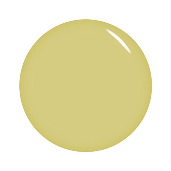 オーガニック ジェルネイルの人気商品 通販 価格比較 価格 Com