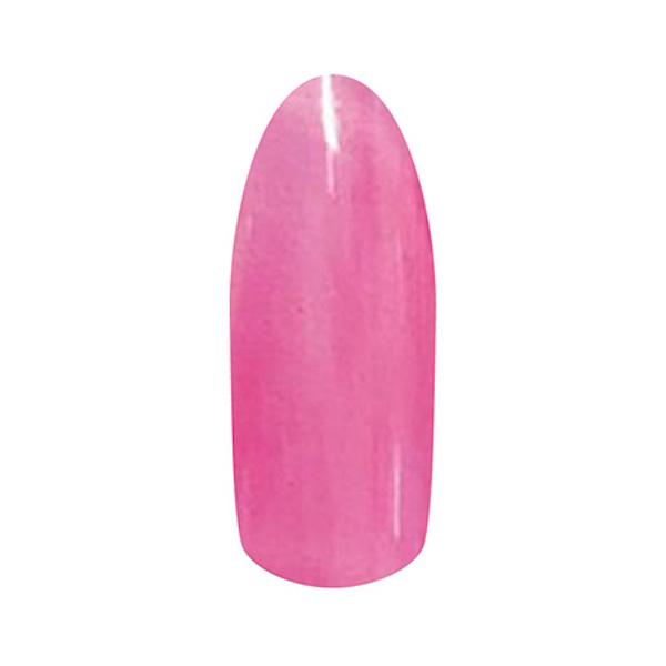 Lily gel [WF J[WF Knock knock. V[Y K01 ق悢`F[ R