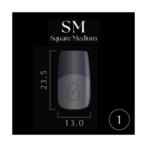 Ｎｏ．1大好評のGelipがリニューアル！装着感を感じさせないフィット感ソフトジェルのみでも装着が可能！ストレスポイントから爪先に向けて厚みが増し耐久性UP！ジェルを塗布すると番号が消える！根元が薄くなりよりフィット感が増しました！※金型変...