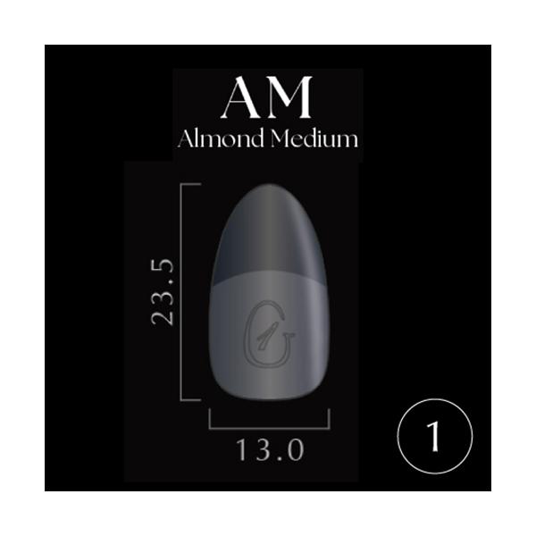 Ｎｏ．1大好評のGelipがリニューアル！装着感を感じさせないフィット感ソフトジェルのみでも装着が可能！ ストレスポイントから爪先に向けて厚みが増し耐久性UP！ ジェルを塗布すると番号が消える！ 根元が薄くなりよりフィット感が増しました！※...