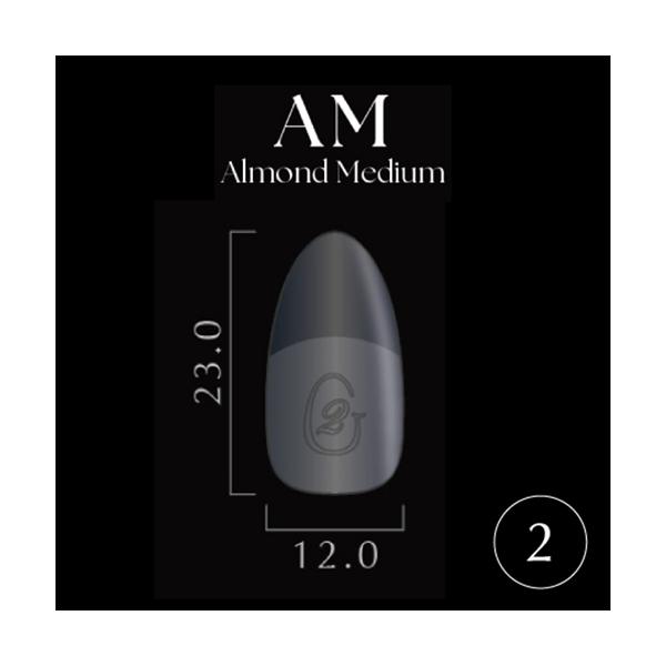 Ｎｏ．2大好評のGelipがリニューアル！装着感を感じさせないフィット感ソフトジェルのみでも装着が可能！ ストレスポイントから爪先に向けて厚みが増し耐久性UP！ ジェルを塗布すると番号が消える！ 根元が薄くなりよりフィット感が増しました！※...