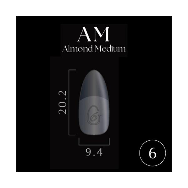 Ｎｏ．6大好評のGelipがリニューアル！装着感を感じさせないフィット感ソフトジェルのみでも装着が可能！ ストレスポイントから爪先に向けて厚みが増し耐久性UP！ ジェルを塗布すると番号が消える！ 根元が薄くなりよりフィット感が増しました！※...