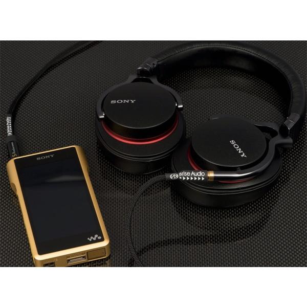 SONY - ■Brise Audio STD001HP バランスケーブル Brise Audio STD001HP for final -5極4.4mmPentaconn – e☆イヤホン