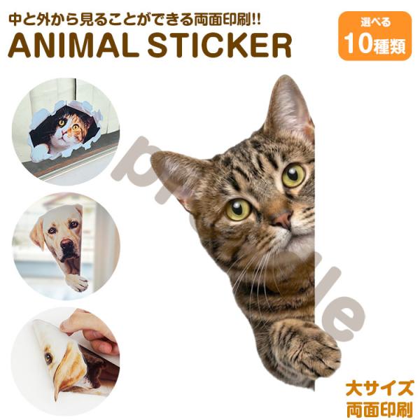 ステッカー かわいい リアル シール 両面印刷 キジトラ 覗き込む猫 アニマル ウォールステッカー インテリアシール ガラス 装飾 シール
