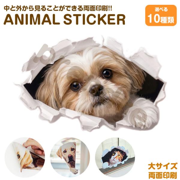 ステッカー かわいい リアル シール 両面印刷 シーズー 穴から覗き見る犬 アニマル ウォールステッカー インテリアシール ガラス 装飾 シール