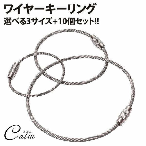 ワイヤー キーリング 10個セット キーチェーン キーホルダー