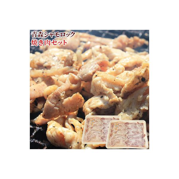 X n{ yXVbN ēZbgziē800gj[Ⓚ/Yn̂ߓs]