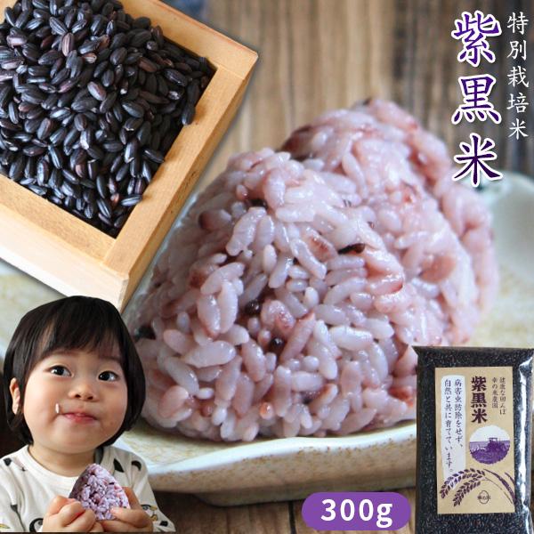 栄養満点!混ぜる 玄米 送料無料 毎日の白米に混ぜて炊くだけ 栄養満点!混ぜる 玄米 送料無料 毎日の白米に混ぜて炊くだけ