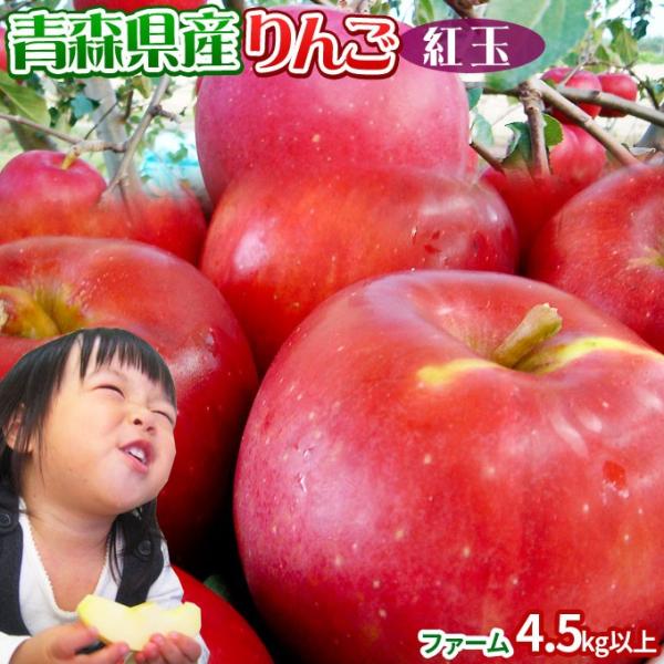  yXY g t@[4.5kgȏz13-28 ƒp  S[h_  S [Yn̂ߓs]