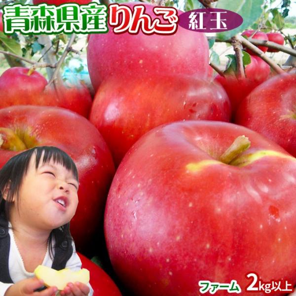  yXY g t@[2kgȏz7-10 ƒp  S[h_  S A[Yn̂ߓs]