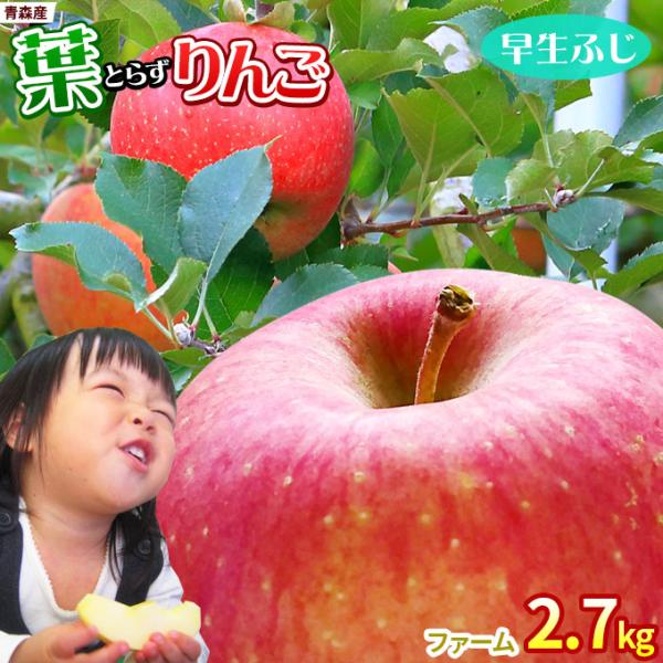 【リンゴ】(1/2)もう一つの出品も購入してください。 葉っぱの影は甘さのサイン 【葉とらずりんご つがる2.7kg