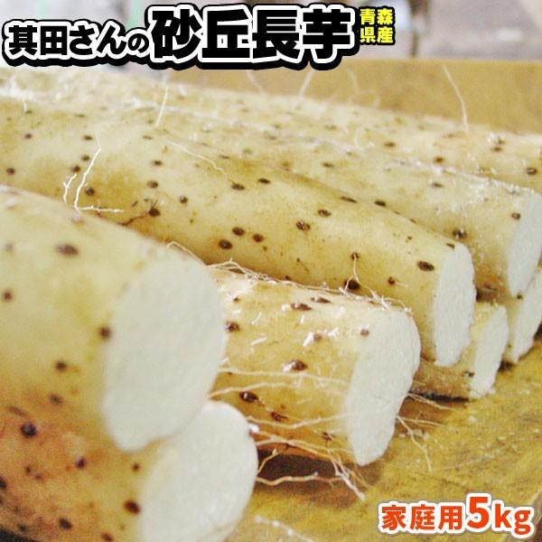 青森県産 砂丘長いも 訳あり 送料無料 長芋家庭用５ｋｇ 山芋 とろろ 長芋 長いも ながいも 産地直送同梱不可 111st かめあし商店オンラインショップ 通販 Yahoo ショッピング