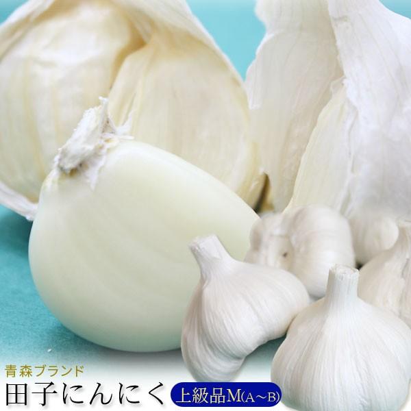 XY cq ɂɂ ㋉ilTCY  2025NxY ycqYɂɂ MiA-Bjz(19-22)[XiƂ̓s]