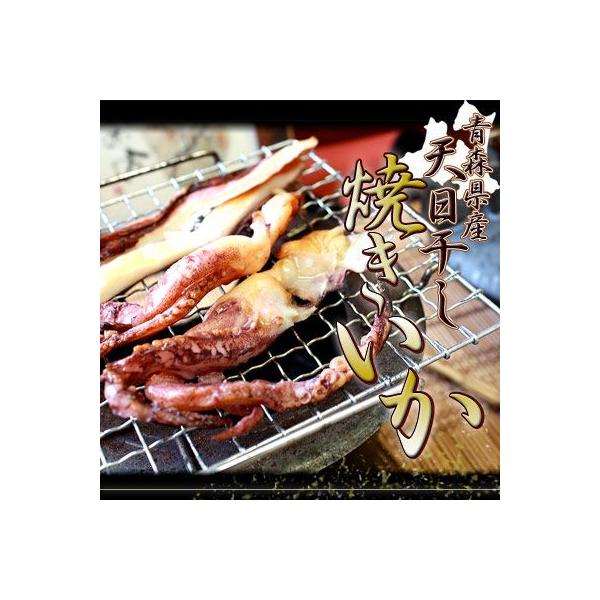 葢̖yVĂzXY̐VNȃCJ{C̊CƒŐBY΂ŒJɏĂ܂B[Ⓚ][򂩂璼]