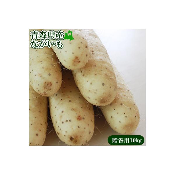  p X k ˒YyXYȂp10kgz(2L`LTCY 12-15{) JA䂤X uȂԂ肢v