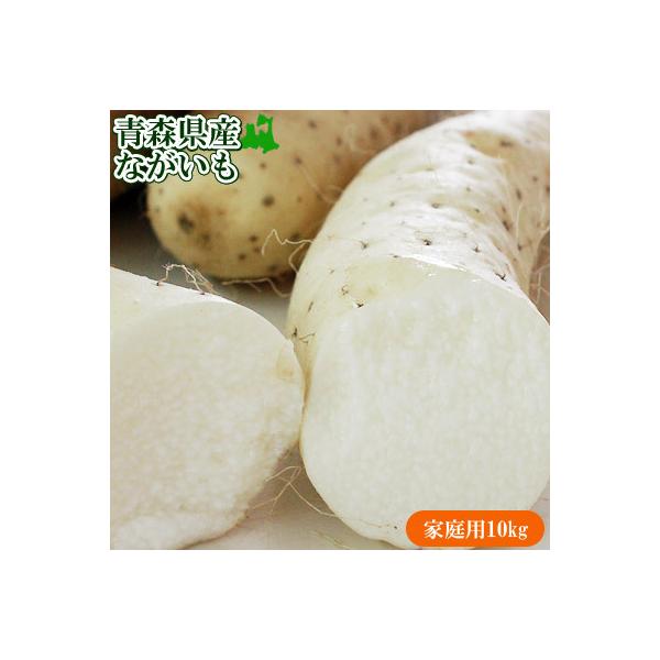 イモ類 長いも 10kg」の人気商品一覧 | 安い商品を通販サイト