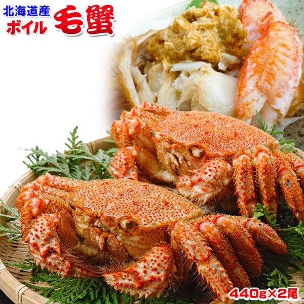 北海道産 ボイル毛蟹 440g×2尾】 送料無料 濃厚なカニ味噌が