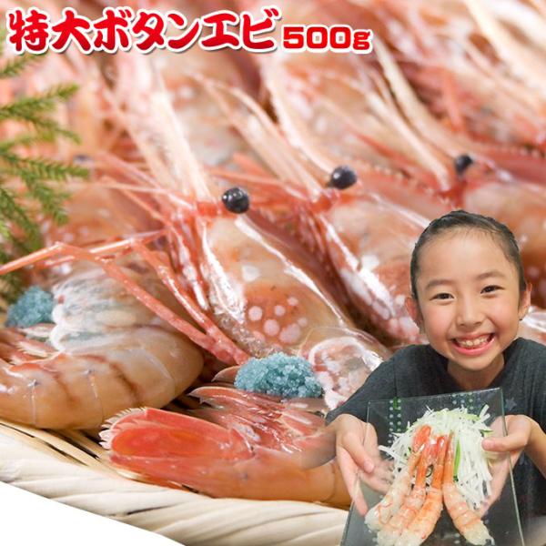 お刺身用 特大ボタンエビ 500g】 エビの王様とも称される、濃厚な甘味