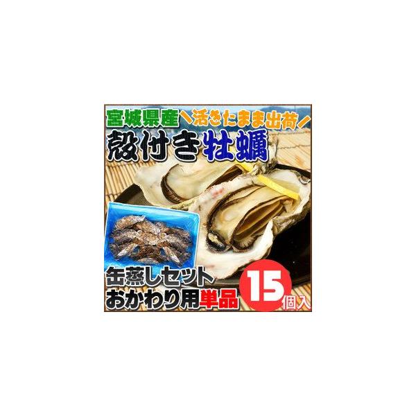 ܂ܔI{錧Yykty pPiz(ʖ15l) NxQpPi̔B[N[][iƓs]