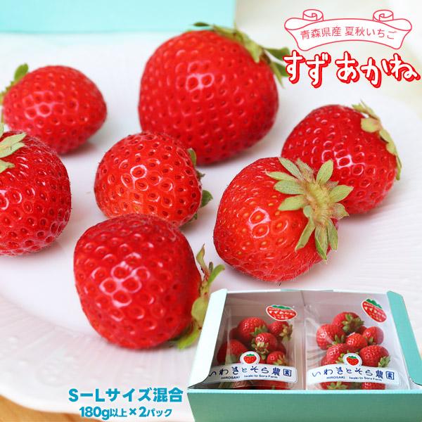 朝採り 完熟 いちご 【青森県産いちご すずあかね 180g以上×2