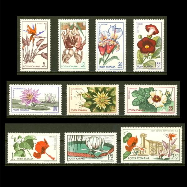MNH (Mint Never Hinged)新品未使用・ヒンジ跡なし