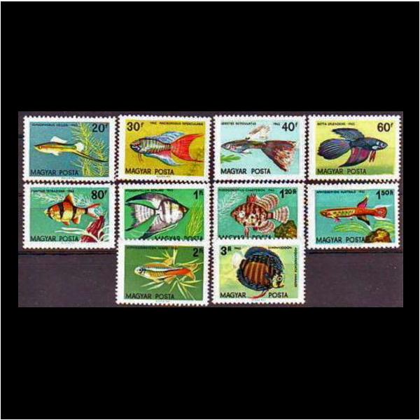 MNH (Mint Never Hinged)新品未使用・ヒンジ跡なし