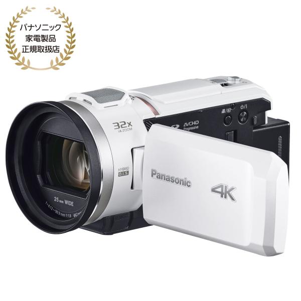 ビデオカメラ　Panasonic FULL HD レンタル] パナソニック デジタルハイビジョンビデオカメラ HC