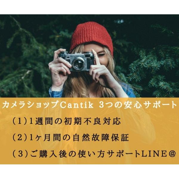 ミラーレス一眼 中古 Olympus オリンパス Pen 送料無料 シルバー Lite E Pl6 レンズキット